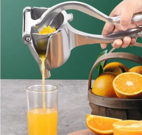 Manual fruit press