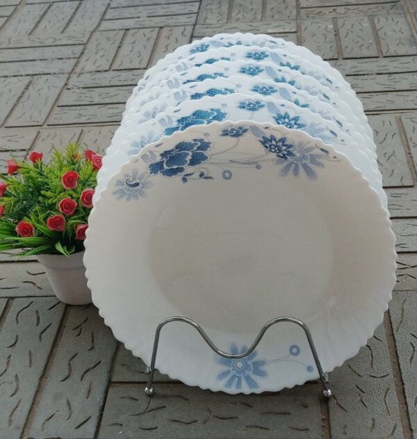 6Pcs Dinner plates