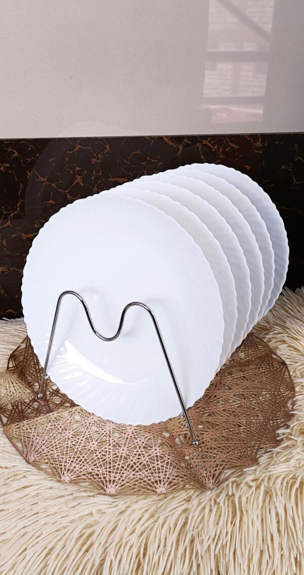 6pcs dinner plates