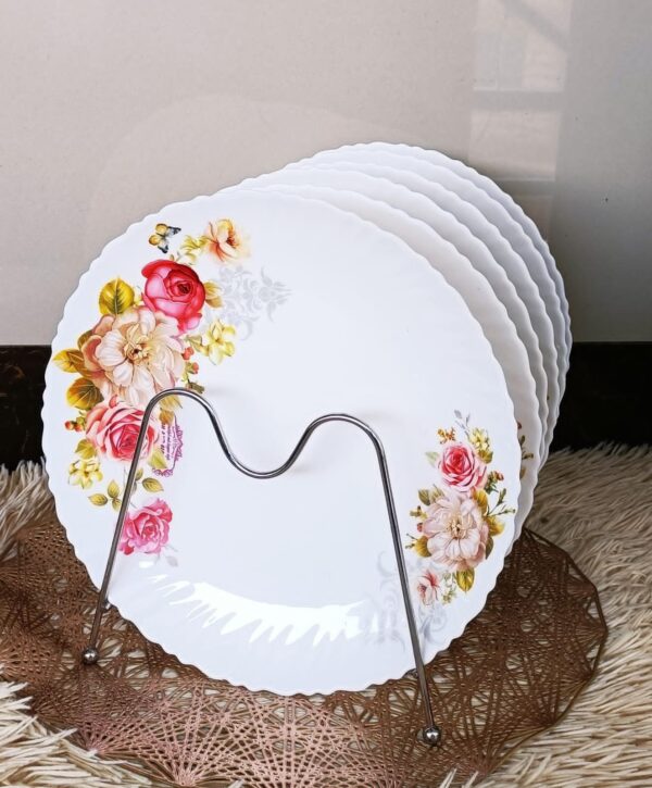 6pcs dinner plates